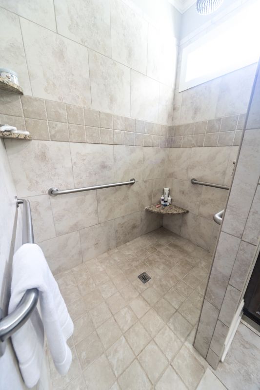 Walk-In Shower Features